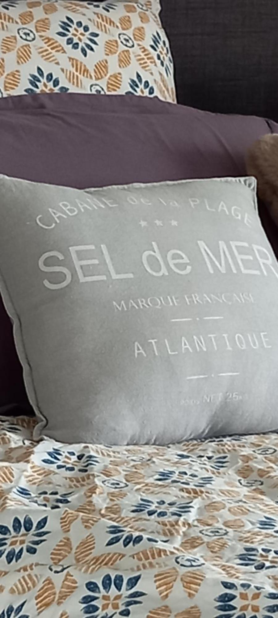 La Mesonnetta Bed & Breakfast Soulignonne Eksteriør bilde